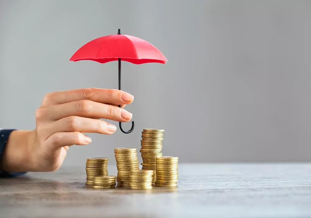 Épargne et placement NovaEco